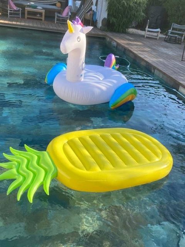 Bouées géantes xxl pas cher licorne pastèque ananas flamant rose à Aubagne
